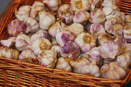 Large heap of fresh ripe organic garlic on farmer market in Paris, Franceの写真素材