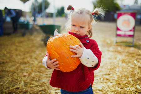 Adorable toddler girl in red poncho selecting pumpkin on farm. Happy kid celebrating Halloweenの写真素材