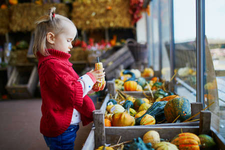 Adorable toddler girl in red poncho selecting colorful pumpkins in supermarket, grocery store or on farm. Happy kid celebrating Halloweenの写真素材