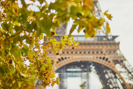 Scenic view of the Eiffel tower with yellow autumn leaves. Fall in Paris, Franceの写真素材