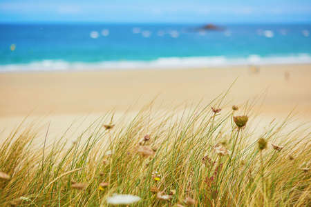 Atlantic ocean shore line in France. Beautiful sea coast with sand beach and huge waves. Scenic...