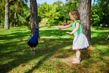 Large version of Adorable toddler girl with peacock in park. Child visiting a zoo. Outdoor summer activities for kidsの写真素材