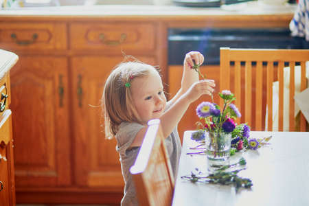 Adorable toddler girl making flower bouquet at home. Child putting asters in water. Home activities for kidsの写真素材