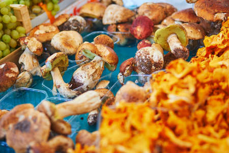Fresh ripe organic girolle and boletus mushrooms on farmer market in Paris, Franceの写真素材
