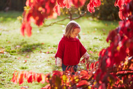Adorable toddler girl playing in autumn park. Happy kid enjoying fall day with bright red leaves. Outdoor activites for kidsの写真素材