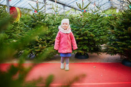 Happy cheerful preschooler girl on Christmas tree market selecting a tree for New Year and Xmas celebration at home. Holidays with kidsの写真素材