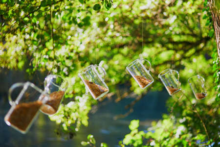Several glass pitchers with half-filled with grains hanging from the tree. Beautiful garden decoration detailの写真素材