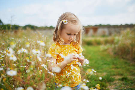 Adorable preschooler girl amidst green grass and beauitiful daisies on a summer day. Little child with camomile hair decoration having fun outdoors. Kid exploring natureの写真素材