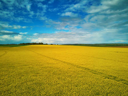 Scenic aerial drone view of yellow rapeseed fields in Ile-de-France, France