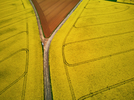 Scenic aerial drone view of yellow rapeseed fields in Ile-de-France, Franceの写真素材