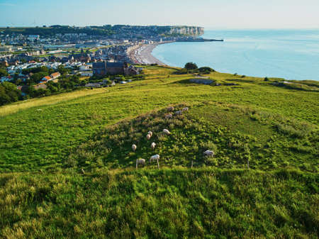 Picturesque panoramic landscape of white chalk cliffs and green pastures near Mers-les-Bains, Somme, Hauts-de-France department of Normandy in Franceの写真素材