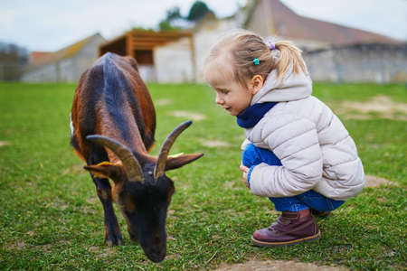 Adorable little girl playing with goats at farm. Child familiarizing herself with animals. Farming and gardening for small children. Outdoor activities for kidsの写真素材