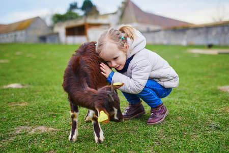 Adorable little girl playing with goats at farm. Child familiarizing herself with animals. Farming and gardening for small children. Outdoor activities for kidsの写真素材