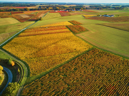 Aerial view of pastures, farmlands and vineyards in France. Beautiful French countryside with green...