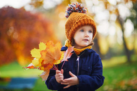 Adorable preschooler girl enjoying nice and sunny autumn day outdoors. Happy child gathering autumn leaves in Paris, France. Outdoor fall activities for kidsの写真素材