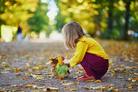 Adorable preschooler girl enjoying nice and sunny autumn day outdoors. Happy child gathering autumn leaves in Paris, France. Outdoor fall activities for kidsの写真素材