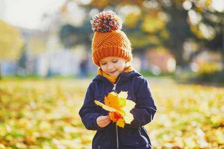 Adorable preschooler girl enjoying nice and sunny autumn day outdoors. Happy child gathering autumn leaves in Paris, France. Outdoor fall activities for kidsの写真素材