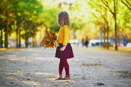 Adorable preschooler girl enjoying nice and sunny autumn day outdoors. Happy child gathering autumn leaves in Paris, France. Outdoor fall activities for kidsの写真素材