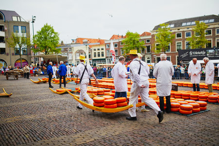 ALKMAAR, THE NETHERLANDS - APRIL 29, 2022: Cheese carriers walking with cheeses at famous Dutch cheese market in Alkmaar, the Netherlandsのeditorial素材