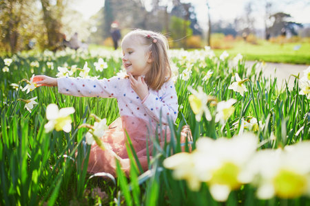 Preschooler girl sitting on the grass with yellow narcissi. Child looking at flowers on a spring day in park. Adorable little kid exploring natureの写真素材