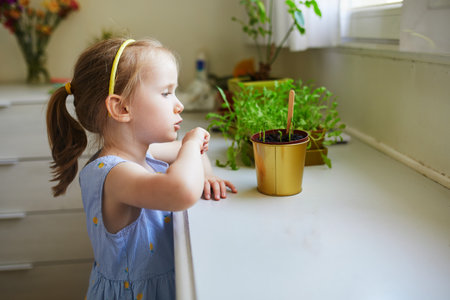 Adorable preschooler girl planting green peas at home. Gardening for young kidsの写真素材