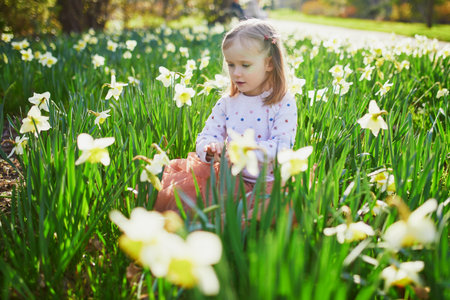 Preschooler girl sitting on the grass with yellow narcissi. Child looking at flowers on a spring day in park. Adorable little kid exploring natureの写真素材