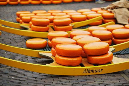 Many cheeses at famous Dutch cheese market in Alkmaar, the Netherlandsの写真素材