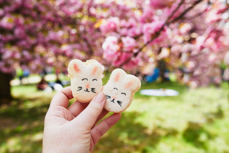Woman hand holding delicious sweet macaroons in form of Easter bunnies with cherry blossom garden in the background. Easter celebrationの写真素材