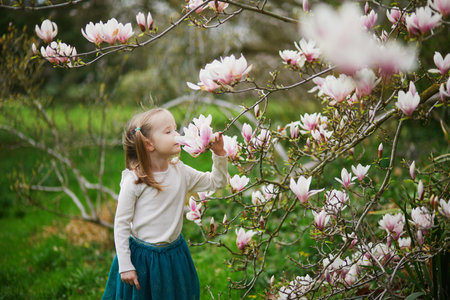 Adorable preschooler girl enjoying nice spring day in park during magnolia blooming season. Outdoor springtime activities for kids. Little child exploring natureの写真素材