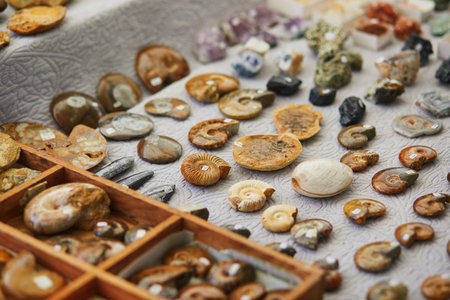 Selection of prehistoric minerals and fossils on a traditional French market in the village of Cucuron, Provence, Southern Franceの写真素材