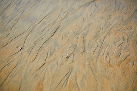 Wet sand during the low tide in Normandy, Franceの写真素材
