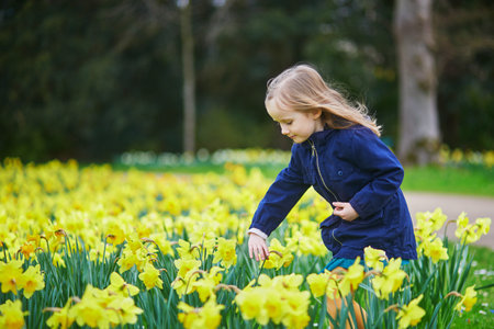 Adorable preschooler girl enjoying nice spring day in park during jonquils blooming season. Outdoor springtime activities for kids. Little child exploring natureの写真素材