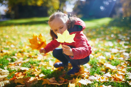 Adorable preschooler girl enjoying nice and sunny autumn day outdoors. Happy child gathering autumn leaves in Paris, Franceの写真素材