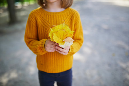Preschooler girl in yellow sweater holding bunch of colorful autumn leaves in park on a fall dayの写真素材