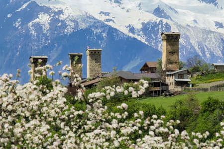 Svanetian towers against blue mountains in spring blossomの写真素材
