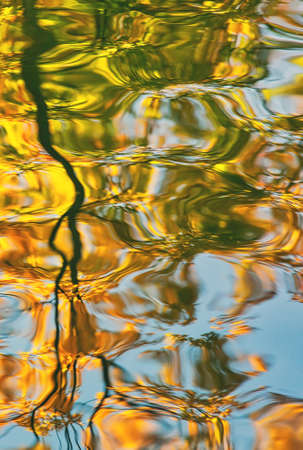 Fall season outdoor background, colorful trees reflect in the waterの写真素材