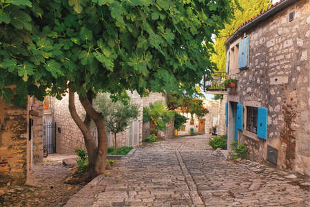 Streets of Rovinj old town, popular travel destination in Croatiaの写真素材