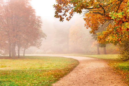 Path in the autumn park, beautiful fall season foggy landscapeの写真素材