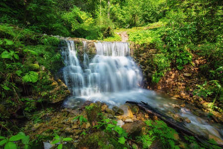 Waterfall in the forest, summertime outdoor backgriundの写真素材