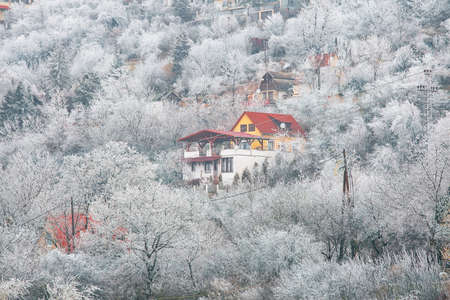 House with red roof among frozen trees, rural outdoor backgroundの写真素材