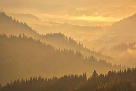 Mountains covered with woods in the early morning mistの写真素材