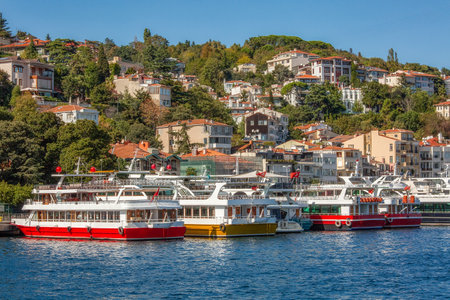 View to the shore of Bosforus strait on an early autumn day. Residential buildings and ships along the shore.の写真素材