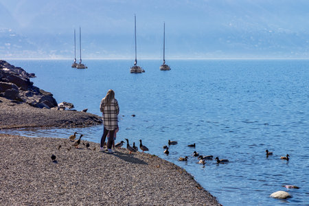 Woman by the lake feeding ducks with a child. Ascona, Lago Maggiore, Switzerlandの写真素材