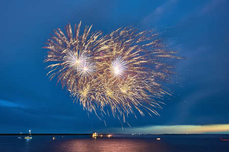 Colorful fireworks on the black sky background