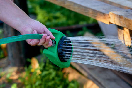 watering plants in the heat from a hose with a nozzle like a watering canの写真素材
