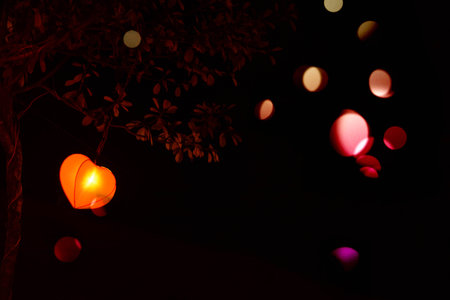 heart shape lampion lantern with bokeh at park trees at night time isolated in black