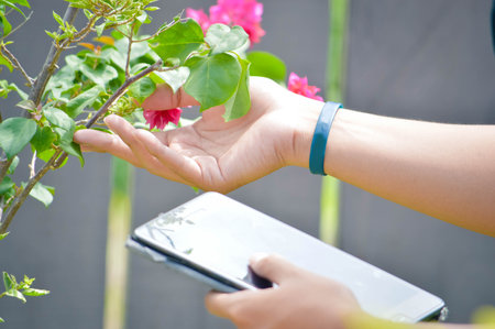close up side view of hand touch flower and holding tablet pc. modern garden concept