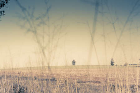 outback fieldsの写真素材