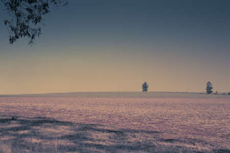 outback fieldsの写真素材