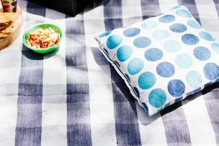 picinc setting checkered blacket, bowl of snacks and pillow